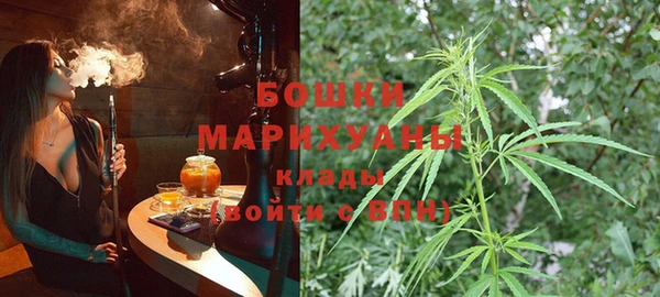 сатива Баксан