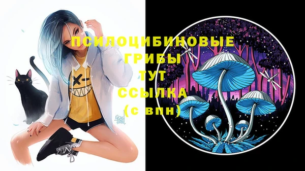 спиды Тихвин