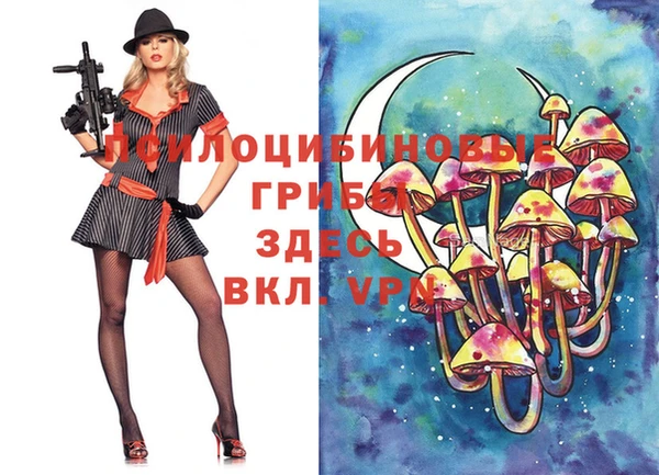 сатива Баксан