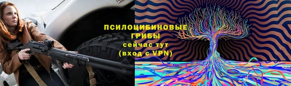 сатива Баксан