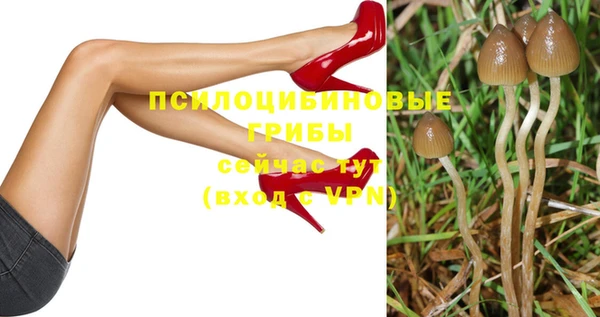 сатива Баксан
