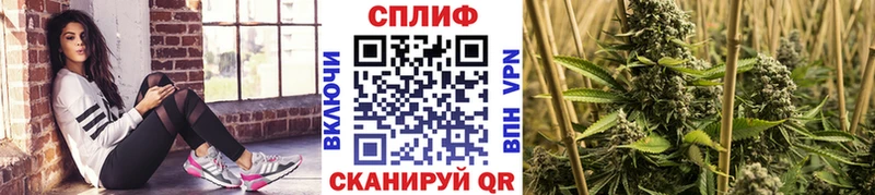 Шишки марихуана гибрид  Берёзовский 
